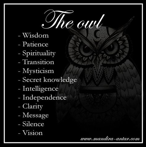 Owl Significance, Spiritual Meaning Of Owls, Spiritual Owl Tattoo, Owl Omen Meaning, Skull Symbolism Meaning, Witchy Owl Tattoo, Owl Meaning Spiritual, Owl Witchcraft, Owl Symbolism Meaning