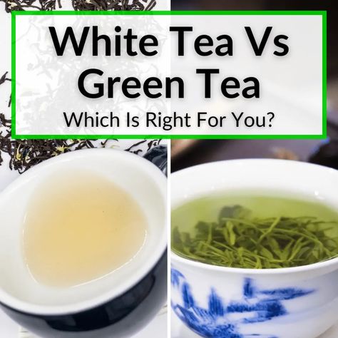 When it comes to white tea vs green tea, there is not much difference in terms of health benefits. The main differences are in flavor and price. White... White Tea Benefits, Silver Needle Tea, Different Types Of Tea, Tea Plant, Tea Tasting, Types Of Tea, Tea Packaging, Hot Tea, White Tea