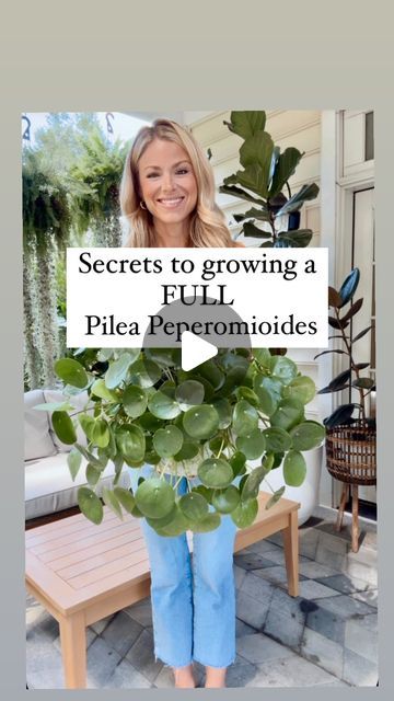 Dana Carpenter | Houseplant care on Instagram: "Don’t miss this one too!! I think it’s the secret to a pilea that is full and bushy!! ⬇️

Leave your pilea snug in its pot. I’ve found that mine has grown way more leaves and become bushier when slightly root bound! 

🪴Here are some other tips: 

+Bright indirect light—lower light can result in leggy growth and yellow leaves☀️
+Let it dry out in between waterings!💦
+Use a well draining soil—also make sure your planter has drainage holes.🪴
+Doming leaves-mean too little light or overwatering
+Cupping-too much light, under watering or nutrient deficiency

Help your pilea by using fertilizer! If you need a recommendation comment FERTILIZER and I’ll dm you a link and discount code to my favorite!🙌

Do lighting requirements for plants confuse Pilea Plant Care, Pilea Plant, Leaves Meaning, Houseplant Care, Pilea Peperomioides, Nutrient Deficiency, House Plant Care, Yellow Leaves, Plant Growth