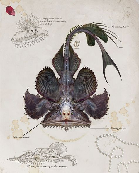 The Large Maw Mermaid, or the more commonly known “Treasure Hoarder”, is a medium sized mermaid found across tropical seas. This mermaid is well documented for gobbling up sunken treasures due its pr… Mermaid Found, Writing Project, Sea Monsters, Plant Design, Creature Design, Game Design, Concept Art, Mermaid, Design Inspiration