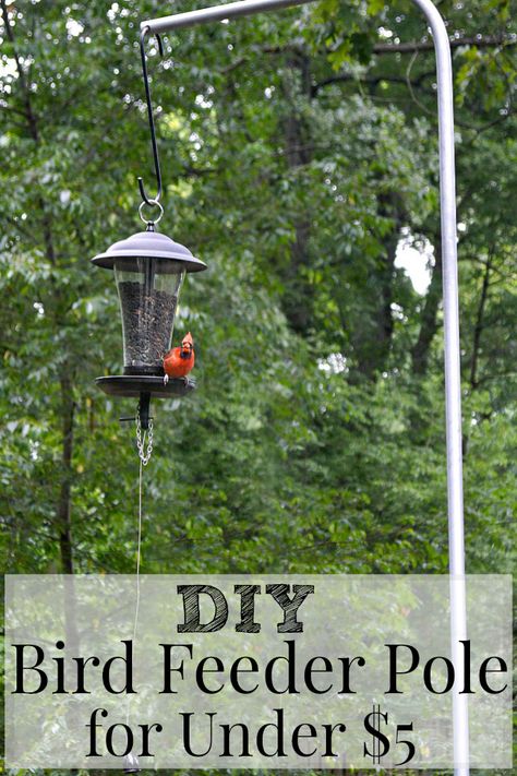 Diy Bird Feeder Pole, Bird Feeder Station, Bird Feeder Stands, Bird Feeder Poles, Squirrel Proof Bird Feeders, Diy Bird Feeder, Hanging Bird Feeders, Diy Birds, Decks Backyard