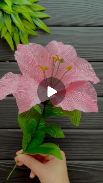 Paper Flower Diy, Crepe Paper Flower, Paper Craft Tutorials, Don't Be Shy, Crepe Paper Flowers, Flower Diy, Paper Folding, Crepe Paper, Craft Tutorials