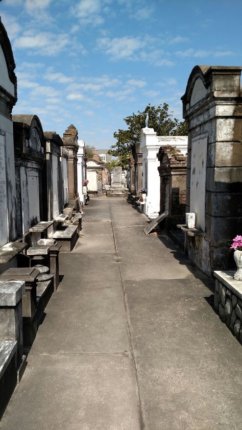 Southern Gothic New Orleans, New Orleans Graveyard Aesthetic, Louisiana Gothic Aesthetic, Cemetery New Orleans, Louisiana Cemetery, New Orleans Cemetery, New Orleans Cemeteries, Lafayette Cemetery, Gothic Stuff