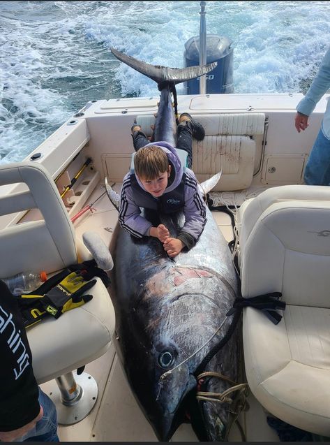 Father, son reel in huge bluefin tuna off the OBX coast | WAVY.com Deep Sea Fishing Outfit, Bluefin Tuna Fishing, Gloucester Massachusetts, Perch Fishing, Tuna Fishing, Bluefin Tuna, Salt Water Fishing, Fishing Photography, Offshore Fishing