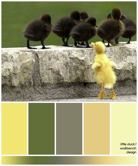 inspiration photo in "sweet colour pops" board Duck Color Palette, Colour Decor, Workbench Designs, Color Palette Yellow, Lovely Photo, Colour Theory, Little Duck, Color Chip, Inspiration Photo