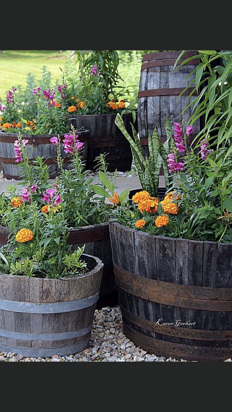 Barrel Planter Ideas Front Yards, Whiskey Barrel Garden Ideas, Barrel Garden Ideas, Whiskey Barrel Flowers, Barrel Garden Planters, Wine Barrel Garden, Garden Bicycle, Bicycle Decoration, Bicycle Planter