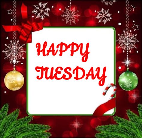 Tuesday Christmas Images, Tuesday Christmas Quotes, Happy Tuesday Christmas Images, Happy Tuesday Christmas, Tuesday Christmas, Tuesday Greetings, Christian Christmas, Morning Greetings, Good Morning Greetings