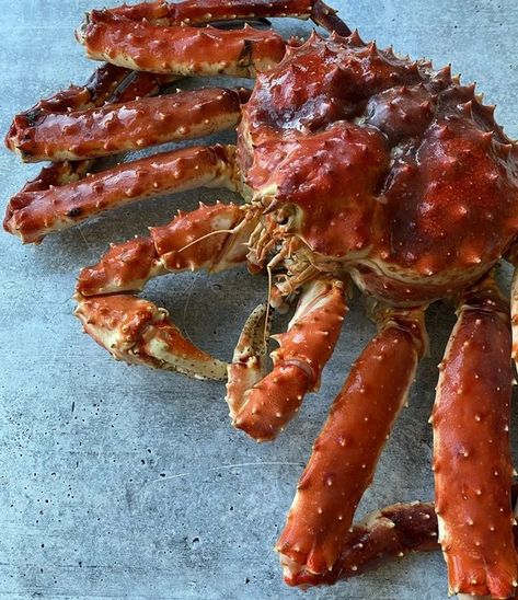 Red King Crab, Red King, King Crab, Russian Blue, Meat Jerky, Crab, Healthy Recipes, Texture, Free Shipping