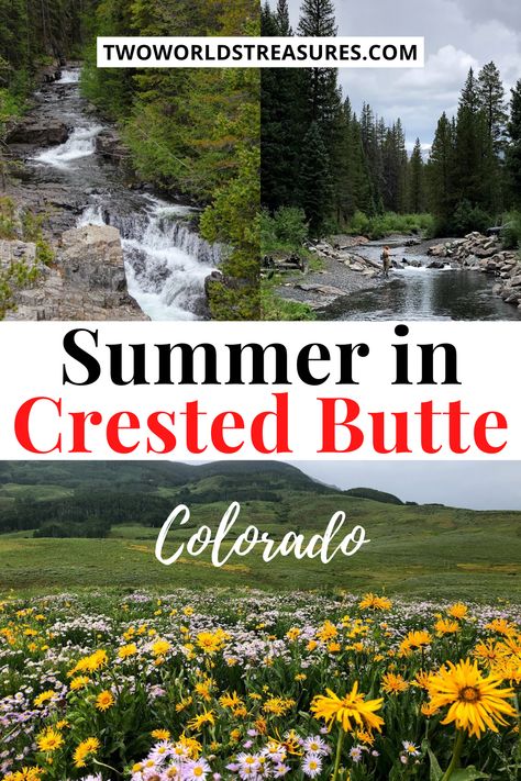 Things To Do In Crested Butte Colorado, Crested Butte Colorado Wildflowers, Crested Butte Wildflower Hikes, Crested Butte Colorado Summer, Created Butte Colorado, Crested Butte Summer, Crested Butte Wildflowers, Colorado Autumn, Colorado Hiking Trails