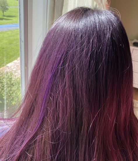 Purple Rain Hair, Arctic Fox Purple, Arctic Fox Purple Rain, Hair With Highlights, Dark Hair With Highlights, Arctic Fox, Purple Rain, Hair Dye, Half Up Half Down