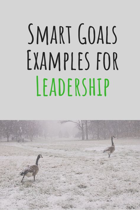 Professional Goals Examples, Work Goals Examples, Worksheet For Adults, Nursing Portfolio, Professional Development Goals, Smart Goals Examples, How To Increase Productivity, Goals Examples, Leadership Goals