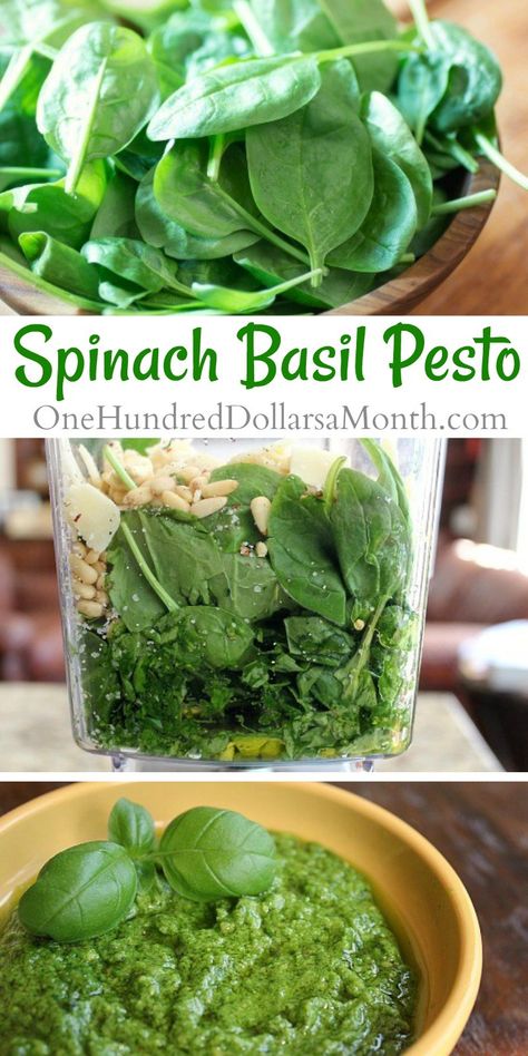 Spinach Basil Pesto - One Hundred Dollars a Month Spinach Basil Pesto, Basil Pesto Recipe, Pesto Dip, Basil Pesto Recipes, Basil Recipes, Marinade Sauce, How To Make Pesto, Homemade Pesto, Pesto Recipe