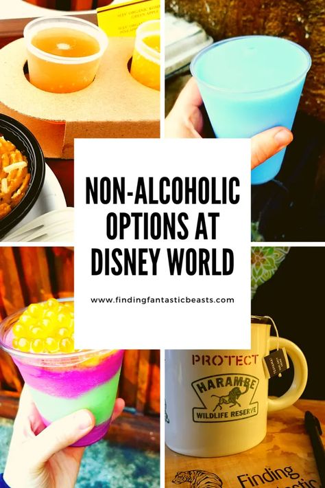 No matter what your reason for going alcohol free, Disney World offers lots of great options that mean you won’t miss out on a thing! - Finding Fantastic Beasts Disney Non Alcoholic Drinks, Disney Drinks Nonalcoholic, Epcot Drinking Around The World, Best Disneyland Food, Magic Kingdom Food, Best Non Alcoholic Drinks, Mocktail Drinks, Drinks To Try, Disney Drinks