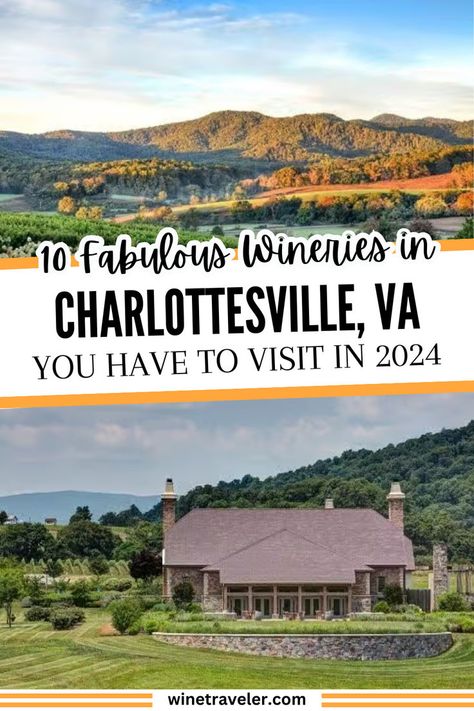 Here are the 10 best wineries in Charlottesville that you need to visit in 2024. Charlottesville, along with the rest of Virginia, is a delightful destination for wine lovers. Click through to discover the top wineries to visit in Charlottesville on this wine trip itinerary. Charlottesville Wineries, Wine Tourism, Vacation Itinerary, Charlottesville Virginia, Small City, Us Travel Destinations, Charlottesville Va, Wine Travel, Trip Itinerary