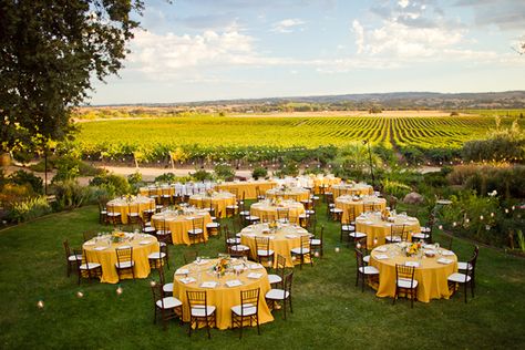 Vineyard Wedding Venues, Sunflower Themed Wedding, Southern California Wedding Venues, Inexpensive Wedding Venues, Destination Wedding Venues, Yellow Wedding, Sunflower Wedding, Affordable Wedding, Winery Weddings