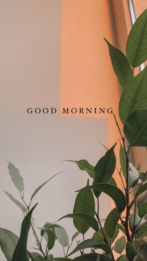 Good Morning Aesthetic Pictures, Morning Aesthetic Sun, Green Morning Aesthetic, Good Morning Asthetic Picture Quotes, Good Morning Astethic, Good Morning Wallpaper Aesthetic, Morning Pictures Aesthetic, Morning Post Instagram, Good Morning Post Instagram