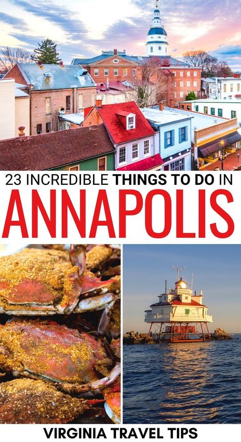 Dmv Things To Do, Annapolis Maryland Day Trip, Annapolis Md Things To Do, Annapolis Maryland Aesthetic, Things To Do In Annapolis Md, Annapolis Maryland Things To Do, Maryland Travel, Things To Do In Maryland, Annapolis Naval Academy