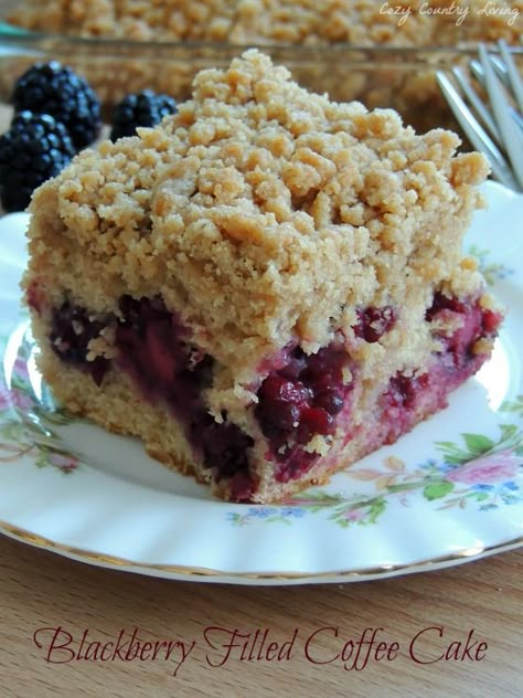 Blackberry Filled Coffee Cake http://www.cozycountryliving.com/blackberry-filled-coffee-cake/ #coffeecake #blackberries #brunch Oatmeal Cranberry Bars Recipe, Filled Coffee Cake, Oatmeal Bars Recipes, Crumb Cake Recipe, Blackberry Recipes, Leftover Cranberry Sauce, Crunch Bar, Dessert Party, Oatmeal Bars