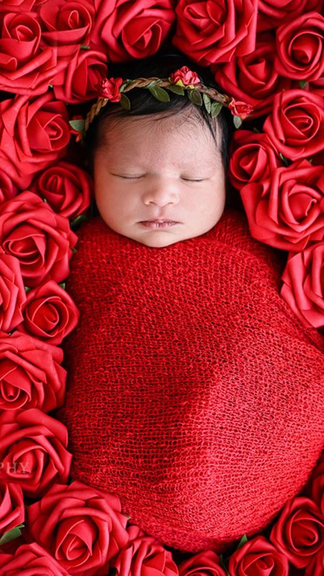 One of our newborn photography sessions gives you the option of including beautiful red roses as props to make your baby's first photoshoot even more memorable. Book your session now to capture these precious moments with your little one. Rose Newborn Photography, Red Newborn Photoshoot, Valentine Newborn Pictures, Newborn Baby Valentines Photoshoot, Newborn Valentines Day Photo Ideas, Red Rose Photoshoot, Newborn Valentine Pictures, Newborn Baby Girl Nursery, Valentines Baby Photoshoot