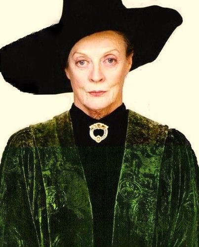 Professor McGonagall Mcgonagall Costume, Professor Minerva Mcgonagall, Gryffindor Costume, Professor Mcgonagall, Harry Potter Halloween Costumes, Harry Potter Costumes, Minerva Mcgonagall, Harry Potter Character, Harry Potter Cosplay