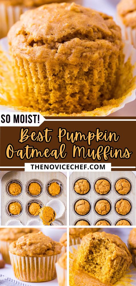 These soft and moist pumpkin oatmeal muffins are one of my favorite fall recipes for breakfast or afternoon snacks! Made in one bowl, this easy pumpkin muffin recipe is packed with pumpkin flavor and just the right amount of spices. Oatmeal Pumpkin Muffins, Pumpkin Oatmeal Breakfast Muffins, Pumpkin Oatmeal Muffins Healthy, Cottage Cheese Pumpkin Muffins, Pumpkin Cottage Cheese Muffins, Pumpkin Flaxseed Muffins, Pumpkin Lactation Muffins, Pumpkin Banana Oatmeal Muffins, Healthy Pumpkin Muffins Oatmeal Breakfast Recipes