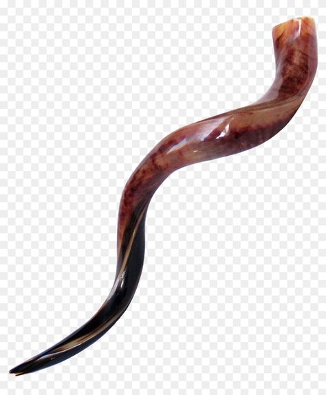 Shofar Instrument, Shofar Art, Shofar Horn, Biblical Art, Png Clipart, Transparent Png, Musical Instruments, Horn, Png Images