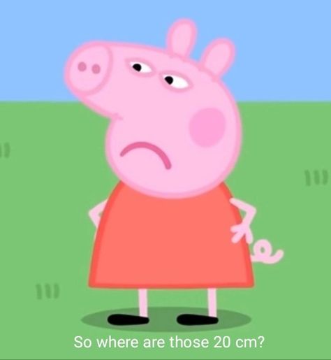 Peppa Pig Side Eye, Peppa Pig Random, Peppa Pig Aesthetic, Pig Meme, Peppa Pig Images, Peppa Pig Pictures, Peppa Pig Memes, Papa Pig, Pepper Pig