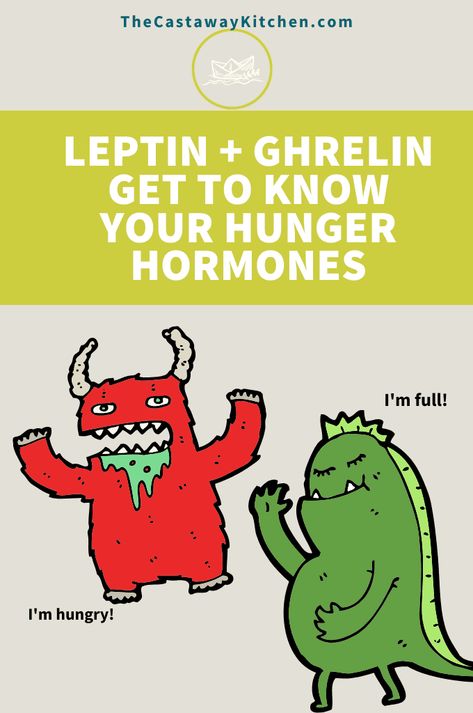 Understand your hunger hormones and the roles they play in how you feel! Ghrelin and leptin are two hormones that have been recognized to have a major influence on energy balance. Leptin And Ghrelin, Adrenal Cortex, Leptin Resistance, Peripheral Nervous System, Energy Balance, Daily Yoga Workout, Adipose Tissue, Medical Kit, Hormone Balancing