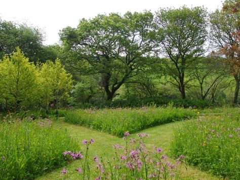 Mown paths through a wildflower meadow - yours will be even more interesting because the paths will wind their way through the orchard. www.jogardens.co.uk Flower Meadows, Orchard Design, Garden Meadow, Wild Flower Meadow, Meadow Garden, Spring Meadow, Wild Garden, Survival Gardening, Wildflower Meadow