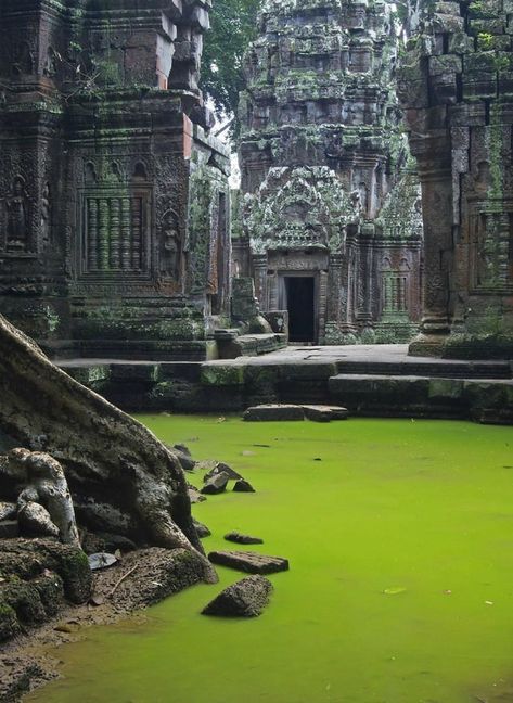 Ta Prohm Temple, Ta Prohm, Ancient Temple, Halong Bay, Siem Reap, Ancient Temples, Angkor Wat, Phnom Penh, Ancient Ruins