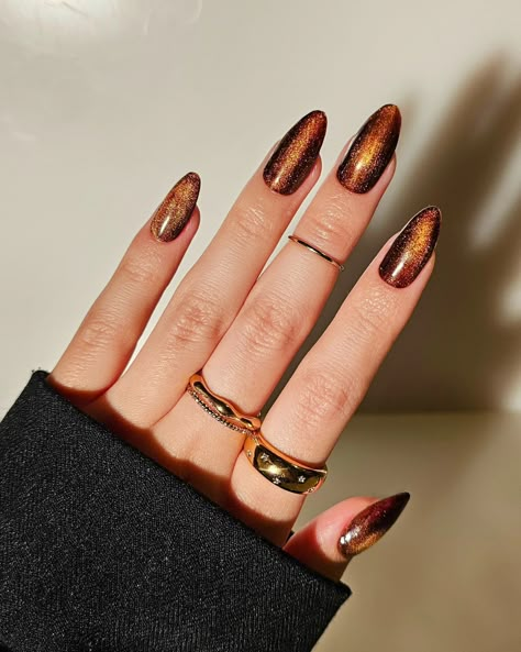 espresso velvet nails, are we liking brown for spring/summer? swipe for the vid! 🤎🌞 Ft. @gelcare.official Jelly Brown @dndgel Ember Enchantress 10 #magnetic #velvetnails #espresso #spring #cateyenails #pressons #grunge #retro #pinterestnails #90s #sodaonmylips #grungecore #velvetdynasty #torontonails #nailinspo #gelpolish #inbeautmag #nailstagram #springnails #brown #gelnails #brownnails #2024nails #ongles #uñas #gold #aesthetic Browns. Easy Velvet nails. Espresso. Press on nails. Magnet... Thanksgiving Nails Cat Eye, Bronze Almond Nails, Carmel Nail Design, Copper Brown Nails, Brown Metalic Nails, Brown Velvet Nails, Cooper Chrome Nails, Brown Magnetic Nails, Bronze Cateye Nails