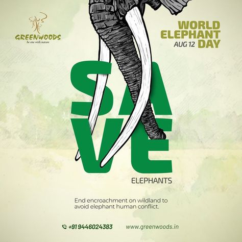 Elephants are wild animals and however we tame them, they are programmed for the survival instincts of the wild. We urge everyone to not promote any activity that is inhumane towards elephants and hamper their freedom in this world elephant day. World Elephant Day wishes from the Kondody group of resorts. World Elephant Day Poster, Elephant Day Poster, Diagnostic Centre, World Elephant Day, Earth Day Posters, Hd Wallpapers For Laptop, Survival Instinct, Save The Elephants, Asian Elephant