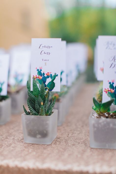 Wedding Cactus, Cactus Wedding Invitations, Simple Wedding Favors, Cheap Wedding Favors, Wedding Favor Table, Creative Wedding Favors, Inexpensive Wedding Favors, Cactus Wedding, Low Cost Wedding