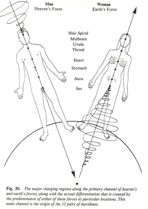 Sacred Geometry Meanings, Polarity Therapy, Chakra Health, Pranic Healing, Magia Das Ervas, Sacred Science, Endocannabinoid System, Healing Art, Spiritual Journals