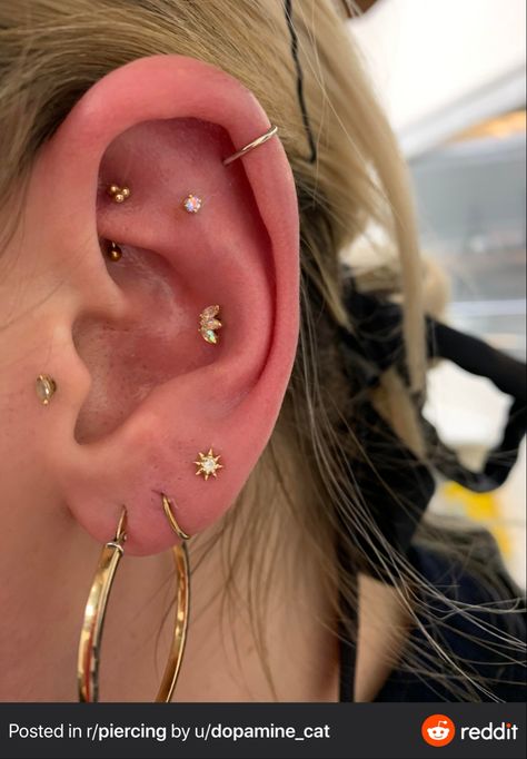 Minimalist Ear Piercings, Ear Peircings, Ear Piercings Chart, Conch Jewelry, Cool Ear Piercings, Pretty Ear Piercings, Cute Ear Piercings, Cute Piercings, Body Jewelry Piercing