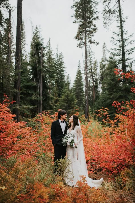 15 Gorgeous Photos to Inspire Your Fall Elopement | Wandering Weddings Vermont Fall Elopement, Fall Forest Elopement, Fall Wedding Elopement, Fall Wedding Portraits, Fall Wedding Photos Bride And Groom, Autumn Wedding Photoshoot, October Wedding Photos, Fall Elopement Photography, Fall Wedding Photoshoot