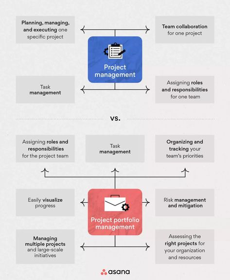 Project Portfolio Management 101 [2024] • Asana Project Portfolio Management, Asana Project Management, Project Portfolio, Portfolio Management, Career Advice, Study Tips, Starter Kit, Project Management, Portfolio