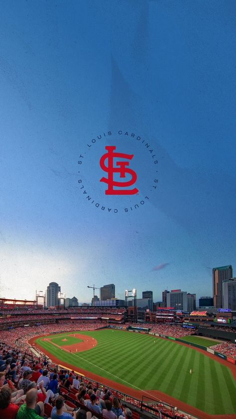 St Louis Cardinals Wallpaper, Cardinals Wallpaper, Saint Louis Cardinals, Baseball Wallpaper, St Louis Cardinals Baseball, Stl Cardinals, Iphone Lockscreen Wallpaper, Cardinals Baseball, Mlb Teams