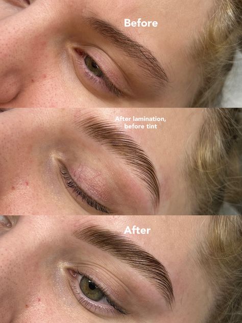 Wanted to share what your brows potential could be. We waxed and laminated in the second picture and tinted with a hybrid dye for the final result. We absolutely loves it 💌 Brow Wax And Tint Before And After, Laminated And Tinted Brows, Natural Laminated Brows, Hybrid Brows, Brow Lamination And Tint, Brow Wax And Tint, Brow Dye, Laminated Brows, Eyelash Extensions Classic