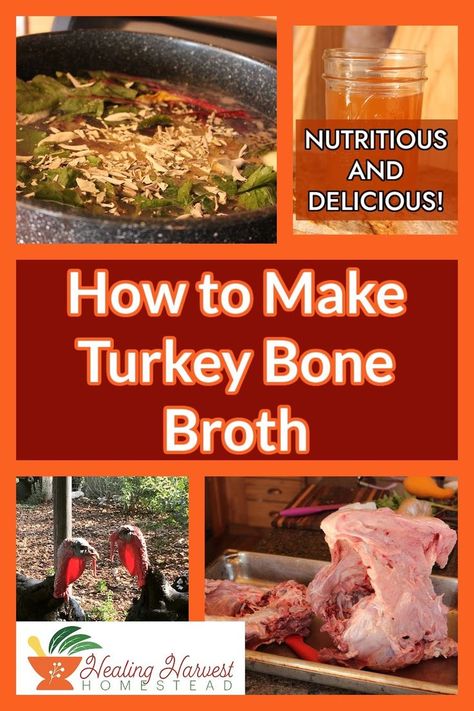 Once again it is time to figure out what to do with all those turkey carcasses. You could just throw them out, but wouldn't you rather repurpose them? In this article, I go into depth on how I used my carcass this year to make bone broth! Not only is it extremely nutritious and reduces waste but it tastes great too! #repurpose #turkey #thanksgivingrecipes #bonebroth #organic Turkey Bone Broth Recipe, Turkey Bone Broth, Make Bone Broth, Making Bone Broth, How To Make Turkey, Bone Broth Recipe, Healthy Turkey, Harvest Recipes, Paleo Lunch