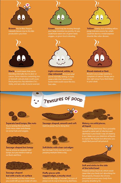 On a grosser note, a poop chart.  Helps you identify what is going on in your GI tract. Medical Knowledge, Medical Education, Health Info, Health Facts, Health Remedies, Body Health, Gut Health, Healthy Tips, Health And Nutrition