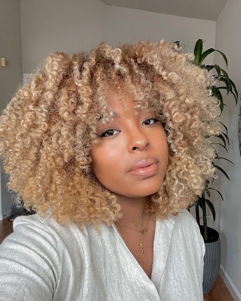 Curls For Black Women, Honey Blonde Curls, Afro Hair Wigs, Blonde Afro, Blonde Natural Hair, Andong, Highlights Curly Hair, Blonde Curly Hair, Blonde Curls