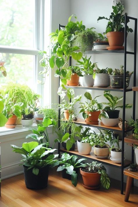 "Elevate your home with the charm of Decorating with Houseplants! 🌿🏡 Perfect for those who love the natural beauty of indoor greenery. 🌟✨ #IndoorPlants #DecorInspo #HomeIdeas" Indoor Plants Decor Bedroom, Indoor Plants Styling, Indoor Plant Wall, Chinese Money Plant, Hippie Life, Plant Decor Indoor, Air Purifying Plants, Botanical Decor, Indoor Jungle