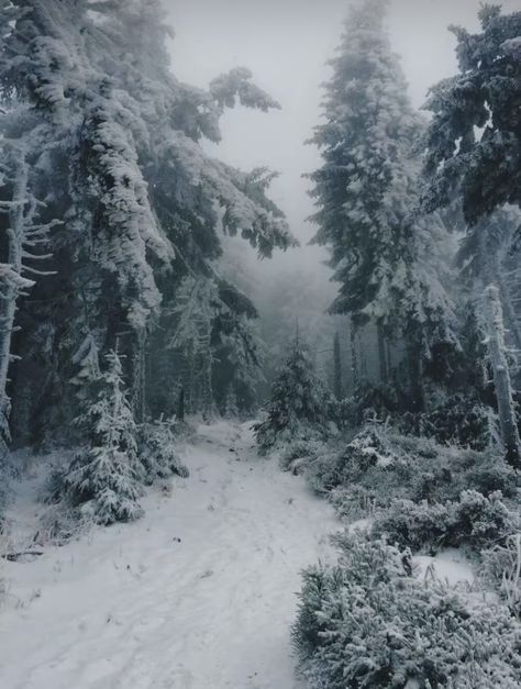 Winter Wilderness Aesthetic, Snow Tundra Aesthetic, Winter Faerie Aesthetic, Frozen Tundra Aesthetic, Snowy Landscape Aesthetic, Snowy Woods Aesthetic, Snowy Village Aesthetic, Winter Fantasy Aesthetic, Winter Nature Aesthetic