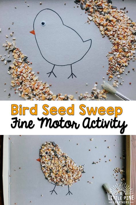 Bird Seed Sweep {A Fine Motor Activity} • Little Pine Learners Preschool Birds Activities, Bird Unit Preschool, Birds Activities For Preschool, Bird Ideas For Preschoolers, Preschool Crafts Birds, Birds And Insects Preschool, Bird Theme For Preschool, Birds Theme Preschool, Birds Art And Craft