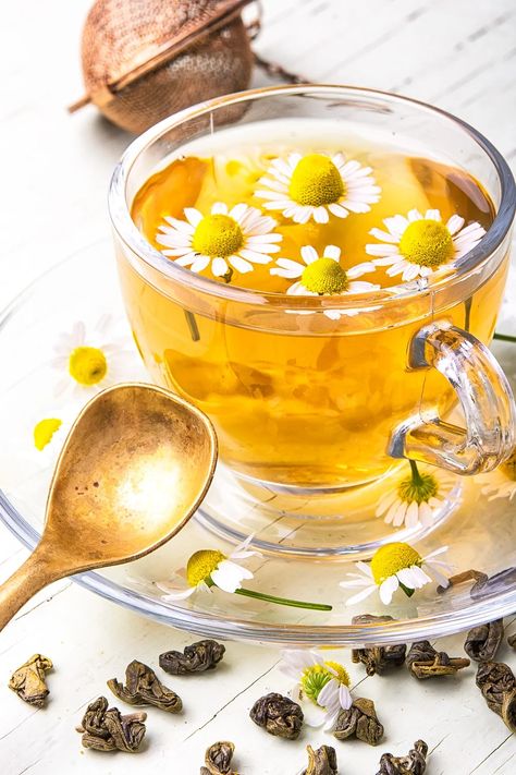 Grow Chamomile For Tea- Relax. It's Easy! Chamomile Tea Benefits, Chamomile Growing, Chamomile Seeds, Chamomile Plant, Hibiscus Sabdariffa, Raw Pork, Herb Tea, Healthy Teas, Chamomile Tea