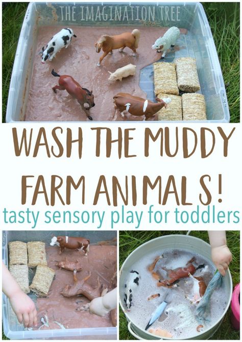 Wash the muddy farm animals sensory play for babies, toddlers and preschoolers! This is taste-safe and so much fun for messy play times! Sensory Play For Babies, Sensory Play Toddlers, Imagination Tree, Farm Animals Theme, Farm Preschool, Baby Sensory Play, Nursery Activities, Farm Activities, Toddler Sensory