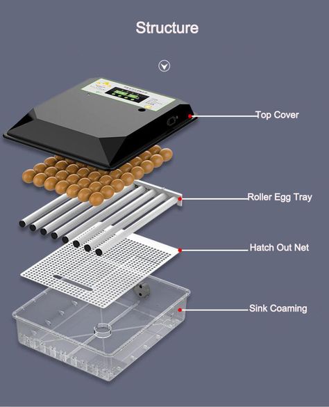 Diy Incubator Eggs, Diy Incubator, Pigeon Eggs, Hatching Egg, Egg Incubator, Chicken Cages, Egg Tray, Hatching Eggs, Pigeon