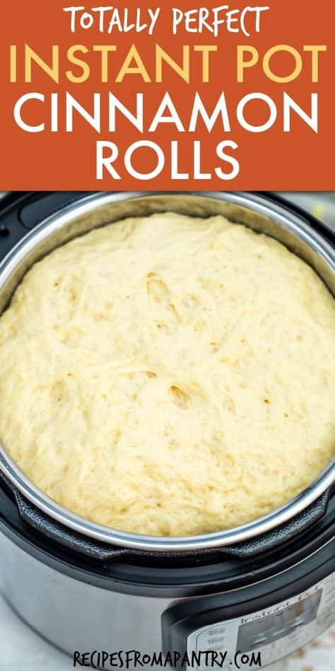 Pot Making, Pot Recipes Easy, Best Instant Pot Recipe, Instant Pot Recipes Chicken, Instant Recipes, Easy Instant Pot Recipes, Instant Pot Dinner Recipes, Cinnamon Rolls Recipe, Instapot Recipes