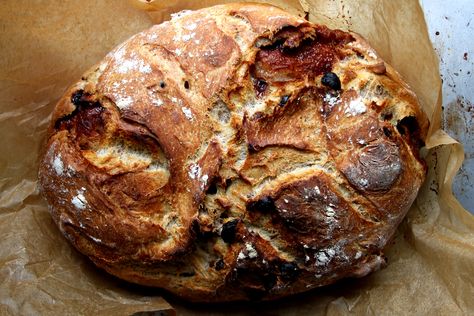 Cinnamon “Swirl” No Knead Bread, Baked in a Dutch Oven Cinnamon Bread Recipe Dutch Oven, No Knead Cinnamon Bread Dutch Oven, Dutch Oven Cinnamon Bread Recipes, Dutch Oven Coffee Cake Recipe, Sweet Artisan Bread, Cinnamon No Knead Bread, Cinnamon Raisin Dutch Oven Bread, Cinnamon Swirl Artisan Bread, Dutch Oven Bread Flavors